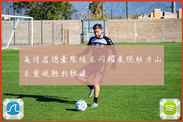 高诗岩德豪陈培东闪耀表现助力山东重返胜利轨道