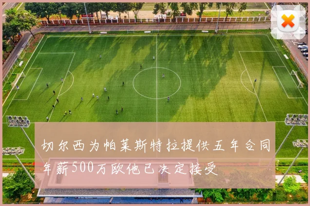 切尔西为帕莱斯特拉提供五年合同年薪500万欧他已决定接受